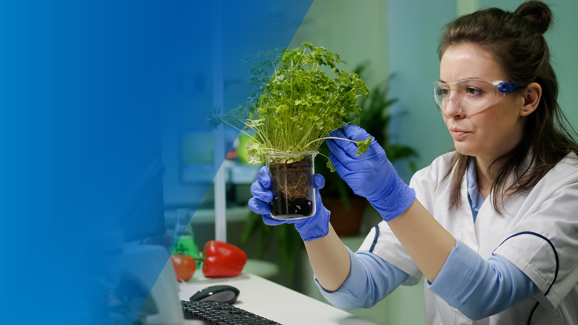 Hextar Global Berhad | Distributor of Agrochemical and Fertiliser